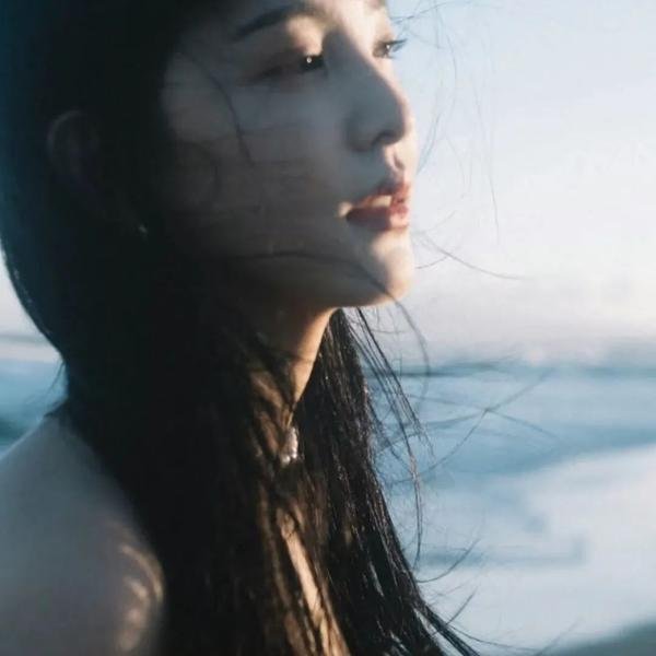 大白鲨4